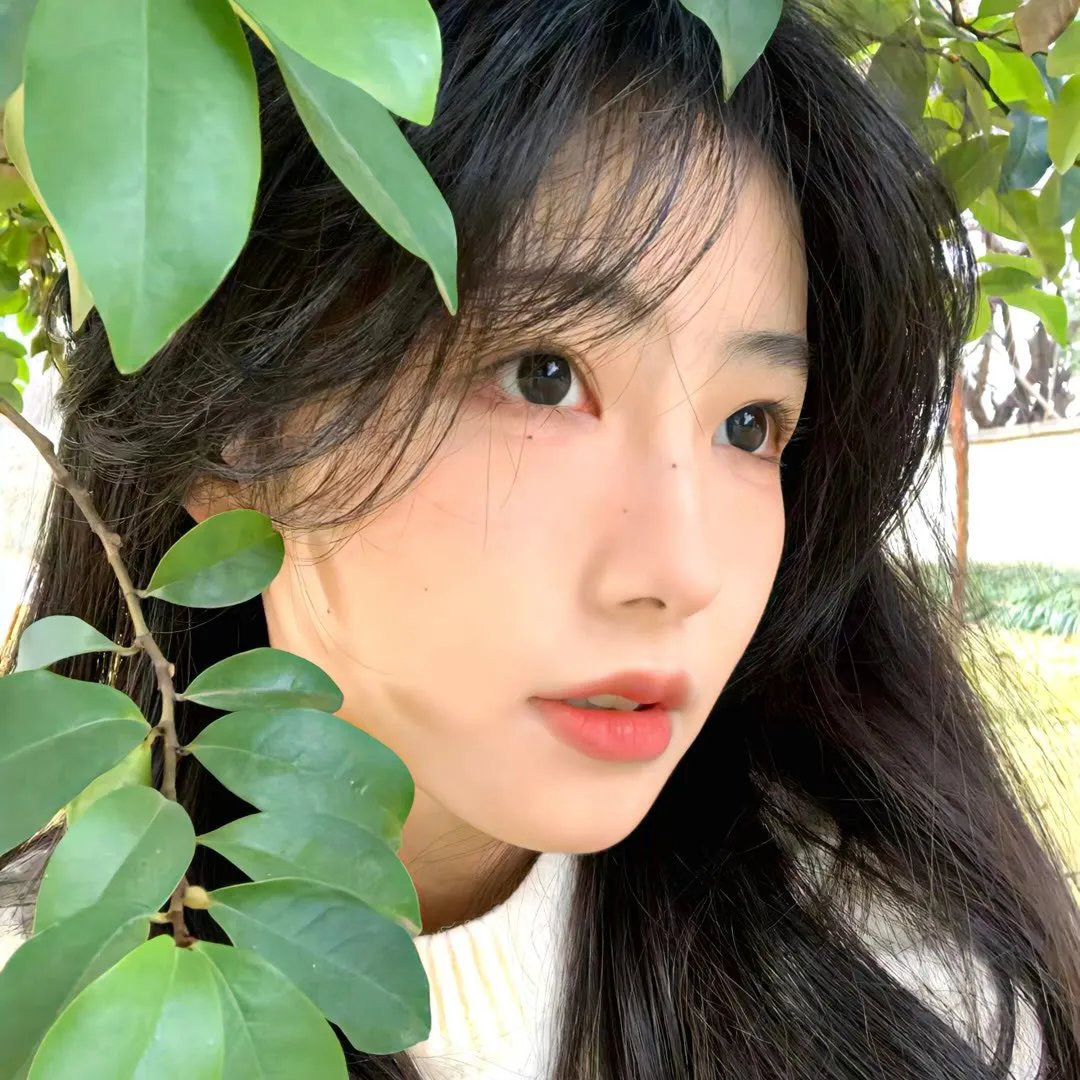 粉黛迷春 海报