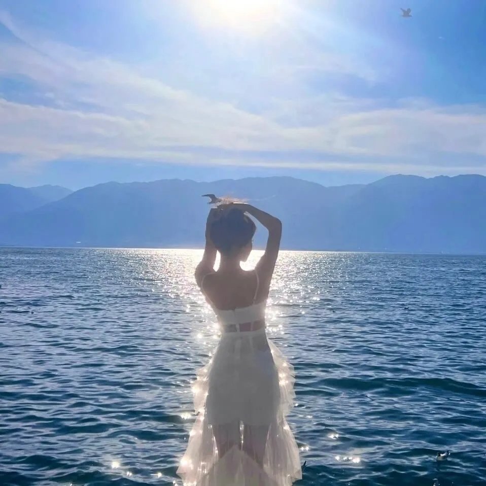 以法之名 海报